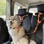 Photo of House of The Woofers