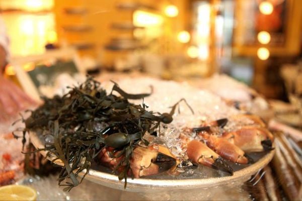 Mon Amie Maxi by null