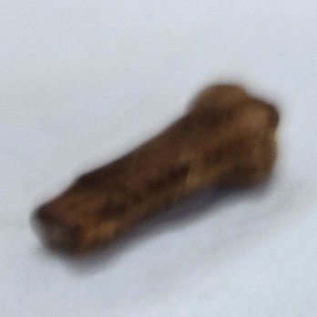 Dairy Queen Grill & Chill - A piece of bone, apparently, found inside my "Bone Buster Parfait"! - Fast Food Near Me - Edgewood, New Mexico