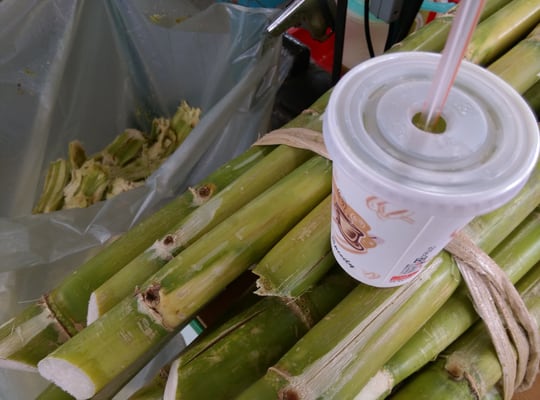 Taipei Expo Farmer's Market by null