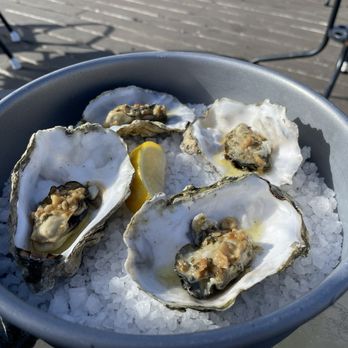 Oysterville Sea Farms - Steamed oysters with garlic butter... absolutely delicious!! - Specialty Food Near Me - Oysterville, Washington Oysterville Sea Farms - Steamed oysters with garlic butter... absolutely delicious!! - Specialty Food Near Me - Oysterville, Washington