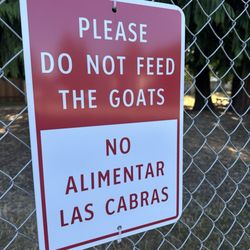 The Belmont Goats - Do not feed the goats