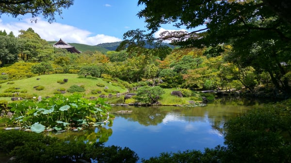Isuien Garden and Neiraku Museum by null