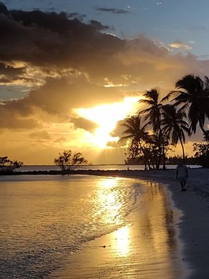 Smathers Beach by null