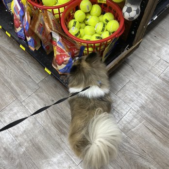 Whole Pets Market - Pet Stores Near Me - Corpus Christi, Texas Whole Pets Market - Pet Stores Near Me - Corpus Christi, Texas