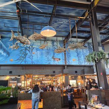Sky Deck - Food Court Near Me - San Diego, California Sky Deck - Food Court Near Me - San Diego, California