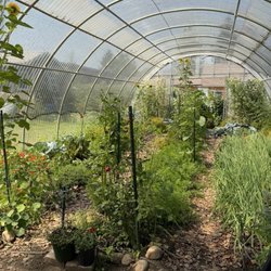 Greenhouse for their kitchen.