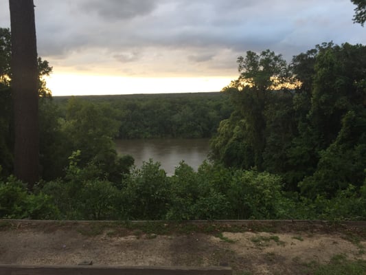 Torreya State Park by null