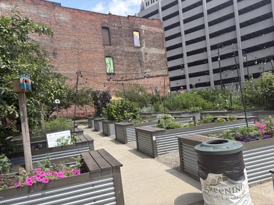 The Greening of Detroit - Lafayette Greens by null
