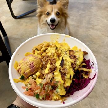 INDAY - Bowl and corgi Sam @EricHoRaw on instagram - Indian Near Me - New York, New York INDAY - Bowl and corgi Sam @EricHoRaw on instagram - Indian Near Me - New York, New York