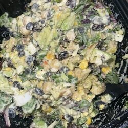 North Star Cafe - Create Your Own Salad