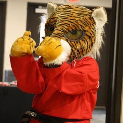 Tiger Rock Martial Arts of Camp Hill - Stripes