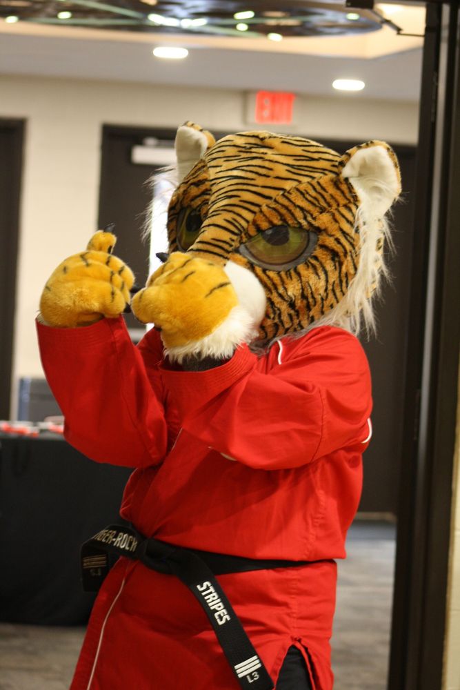 Social spots from Tiger Rock Martial Arts of Camp Hill