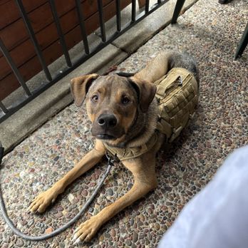 Bill's Café - The cutest and most patient boy - Breakfast & Brunch Near Me - Pleasanton, California