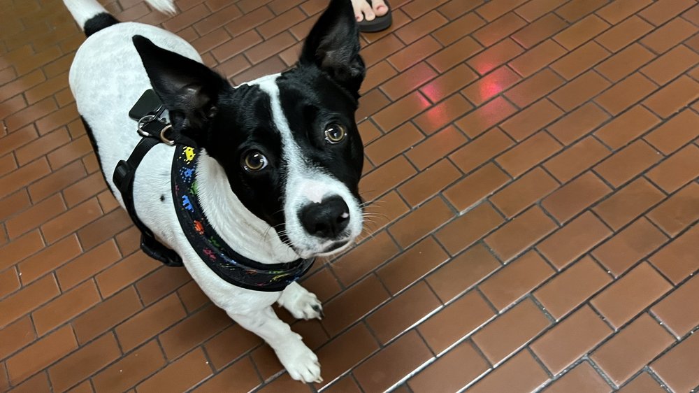 WAIKIKI MASSAGE AND FOOT SPA Updated August 2024 20 Photos & 63