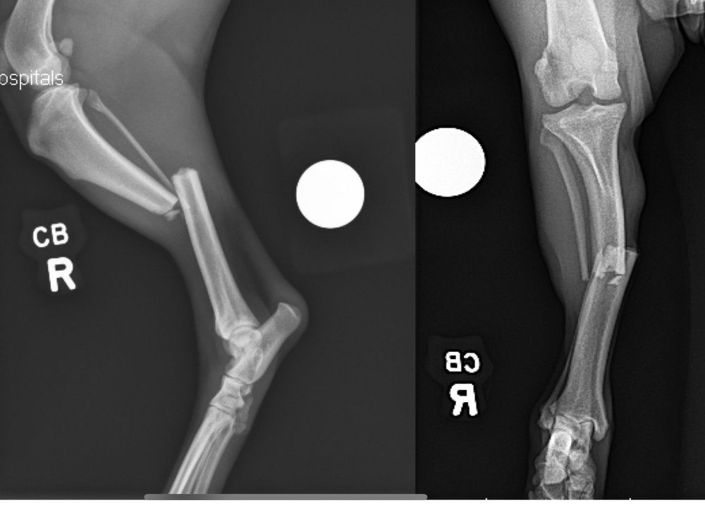 DOGWALKER RANCH Updated August 2024 18 Photos 12150 N US Hwy 441