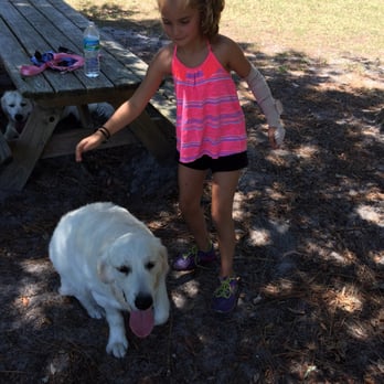 Dog Park - Dog Parks Near Me - New Smyrna Beach, Florida