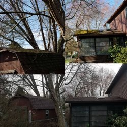 Heavy D's Mobile Wash & Snowplowing - Pressure Wash moss off roof on sunroom and shed.