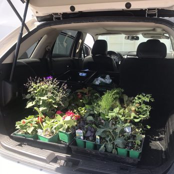 Orange County Farm Supply - Ready to plant my Spring garden. - Nurseries & Gardening Near Me - Orange, California Orange County Farm Supply - Ready to plant my Spring garden. - Nurseries & Gardening Near Me - Orange, California