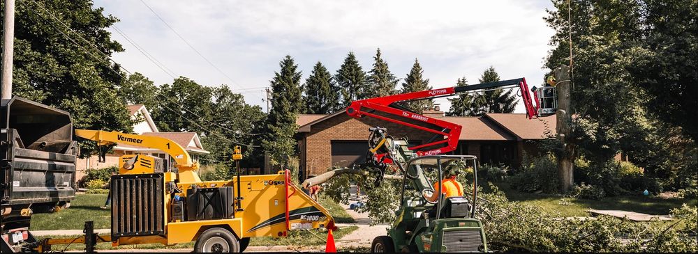 Country Arborists - tree service in North Liberty, IA