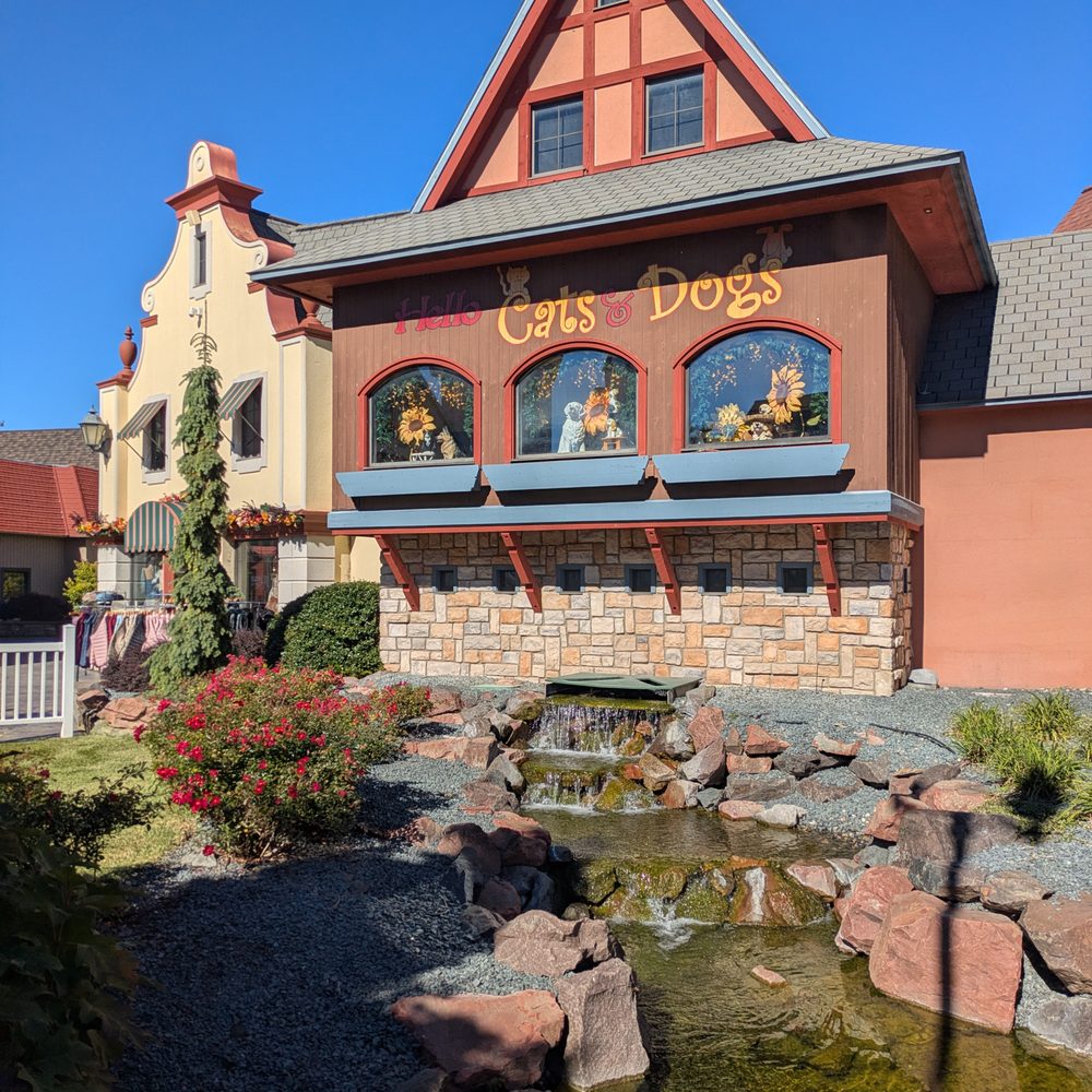 Hello Cats and Dogs - Pet Stores Near Me - Frankenmuth, Michigan Hello Cats and Dogs - Pet Stores Near Me - Frankenmuth, Michigan