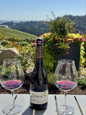 Winderlea Vineyard & Winery by null