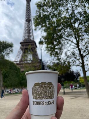 Terres de Café by null
