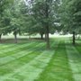 Photo of Whispering Hills Lawn Service