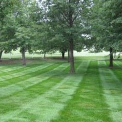 Whispering Hills Lawn Service - Lawn Service