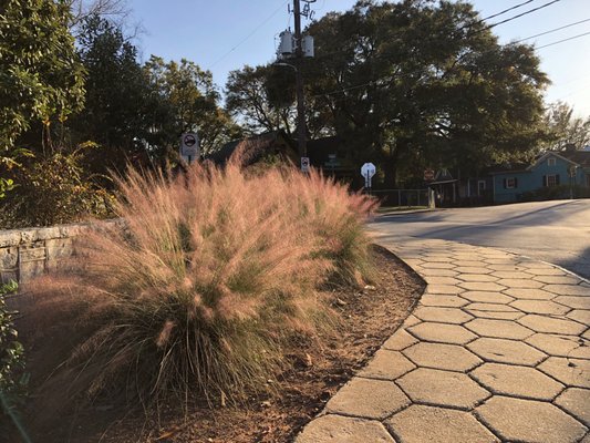 Esther Peachy Lefevre Park by null