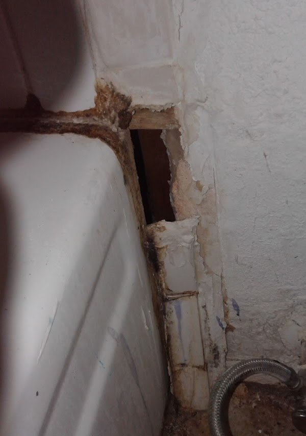 OAKS ON BANDERA APARTMENTS Updated September 2024 91 Photos 1171