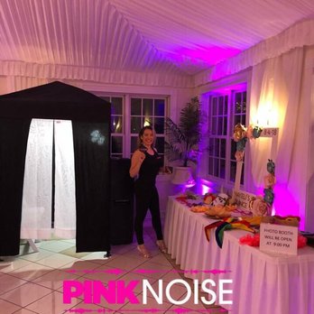 The Pink Noise - DJs Near Me - Addison, Illinois