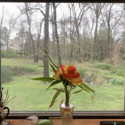 Beulah Land - View from the kitchen window.