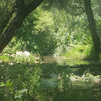 Evans Creek Trailhead - Hiking Near Me - Reno, Nevada