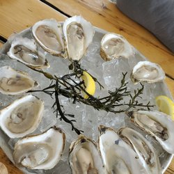 Shuck Station - Taste of the River
