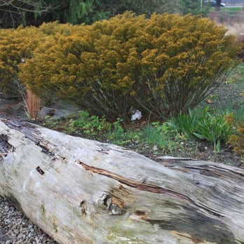 Stanley Park - Parks Near Me - Vancouver, British Columbia