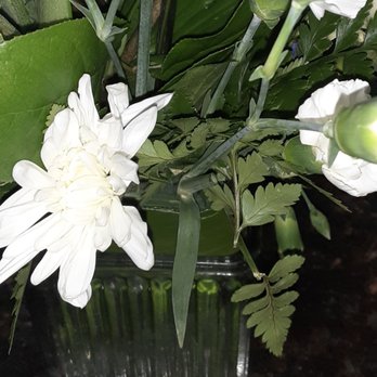 Serrano Flowers - Florists Near Me - Riverside, California Serrano Flowers - Florists Near Me - Riverside, California