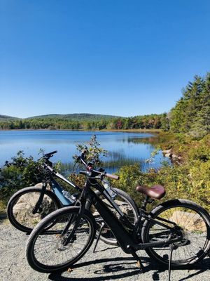 Bar Harbor Bicycle Shop by null