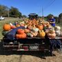 Photo of Holleran Farms