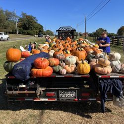 Holleran Farms