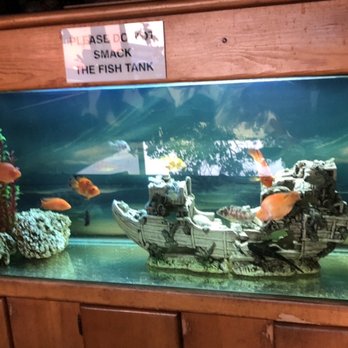 Phuket Thai - Cute little fish tank - Thai Near Me - Huntington Beach, California Phuket Thai - Cute little fish tank - Thai Near Me - Huntington Beach, California