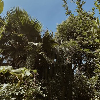 Avalon Nursery & Ceramics - Outdoor - Nurseries & Gardening Near Me - Los Angeles, California