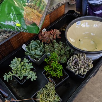 Encinal Nursery - Nurseries & Gardening Near Me - Alameda, California