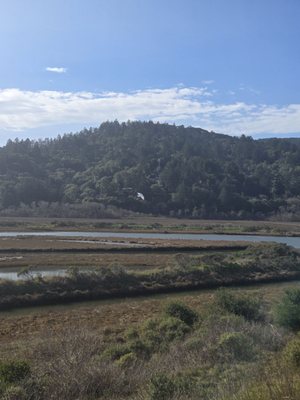 Tomales Bay Trailhead by null