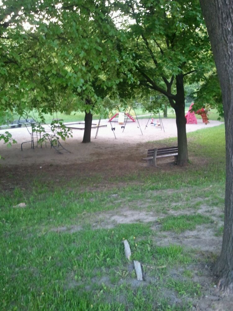 Lawrence Park Ravine Image