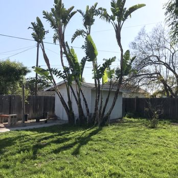 Orange County Tree Patrol - Tree Services Near Me Orange County Tree Patrol - Tree Services Near Me