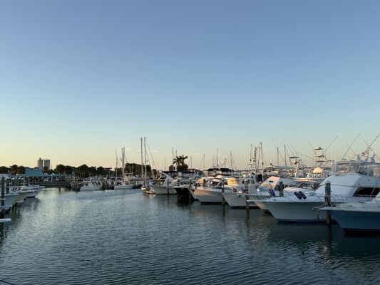 Cobb's Landing by null