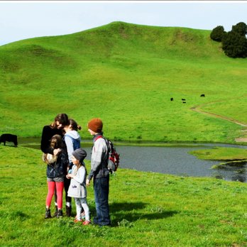 Briones Regional Park - Parks Near Me - Martinez, California Briones Regional Park - Parks Near Me - Martinez, California