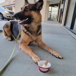 Bruster's Real Ice Cream