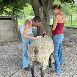 Boomer Husbandry Services